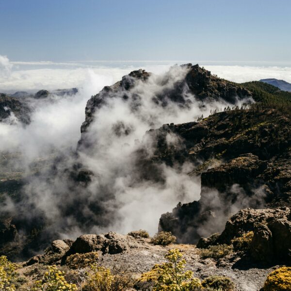 Gran Canaria te espera: Vive la primavera en el paraíso