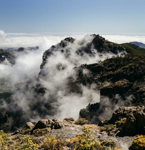 Gran Canaria te espera: Vive la primavera en el paraíso