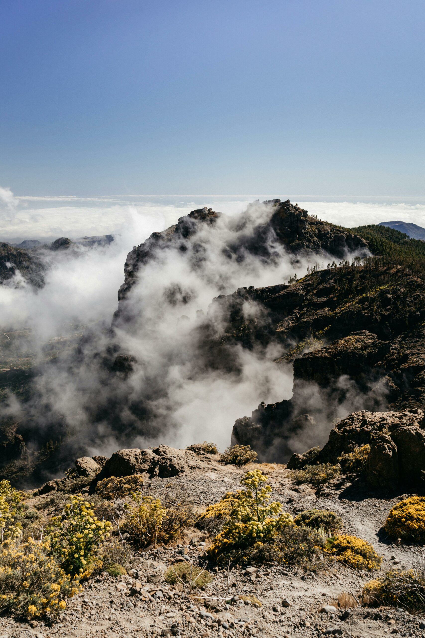 Gran Canaria te espera: Vive la primavera en el paraíso