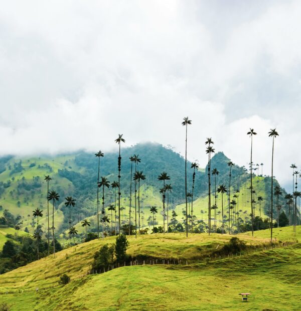 Colombia vibrante