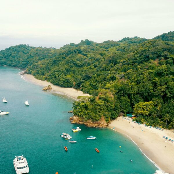 Vive el Pura Vida Parque Nacional Manuel Antonio Costa Rica