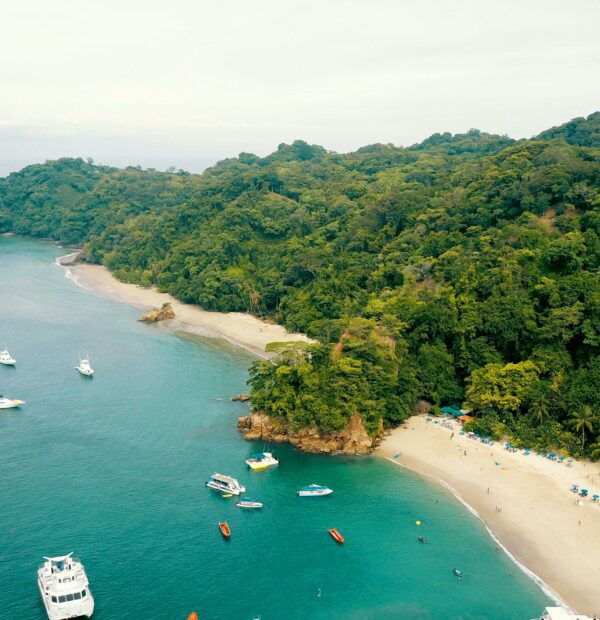 Vive el Pura Vida Parque Nacional Manuel Antonio Costa Rica