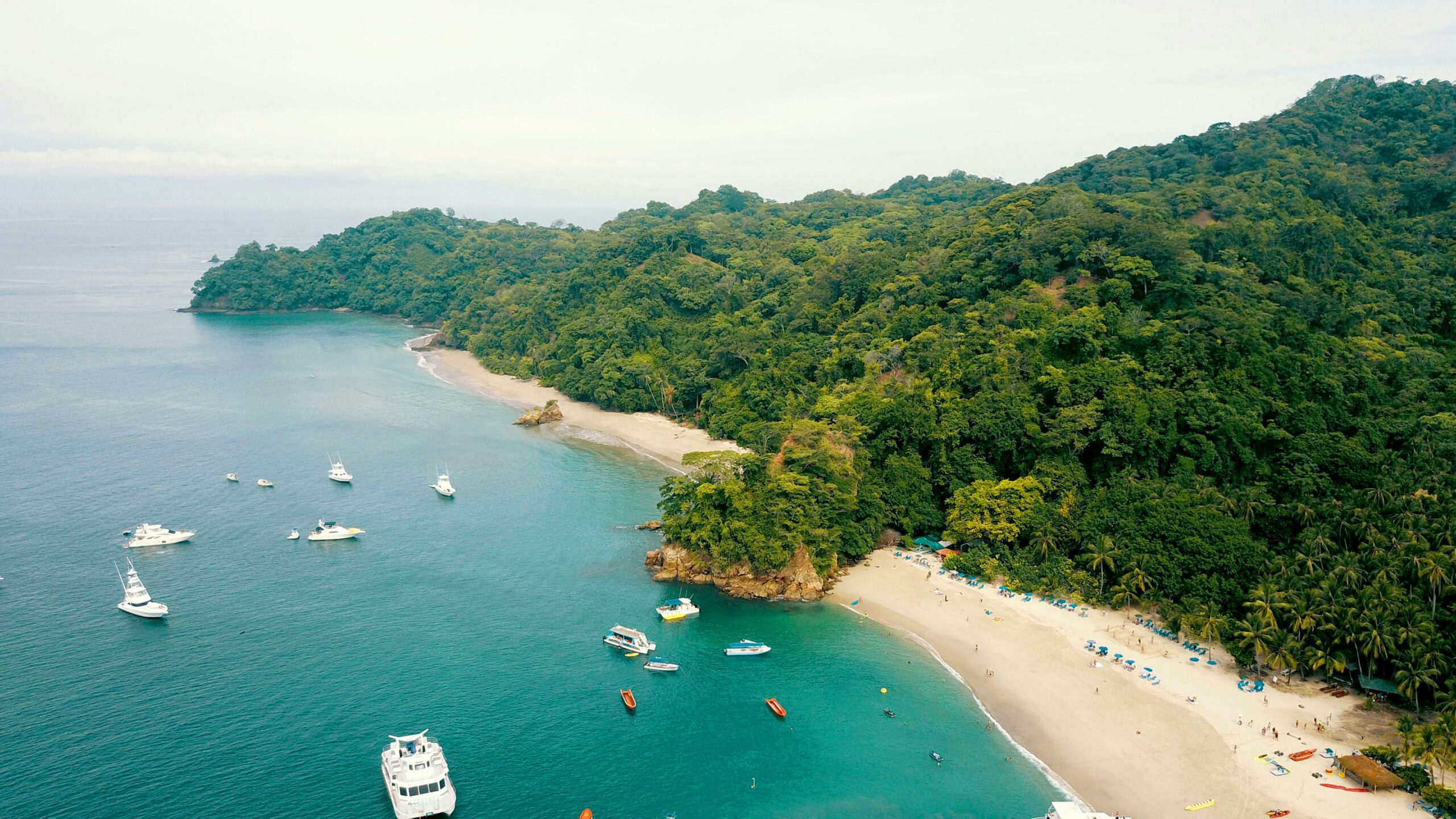 Vive el Pura Vida Parque Nacional Manuel Antonio Costa Rica