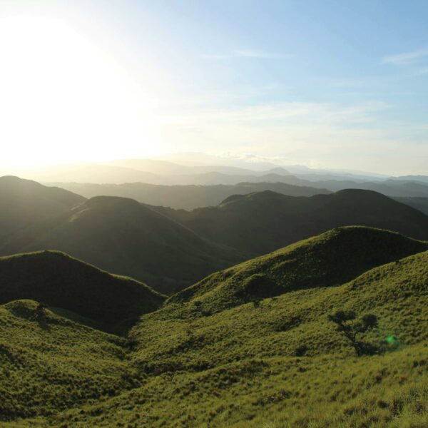 Costa Rica Indispensable con Parque Nacional Manuel Antonio