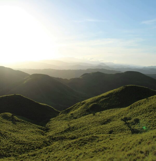 Costa Rica Indispensable con Parque Nacional Manuel Antonio