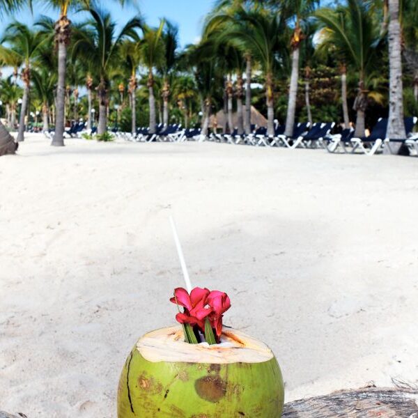 Punta Cana Zemi Miches Resort 5* Curio Collection by Hilton