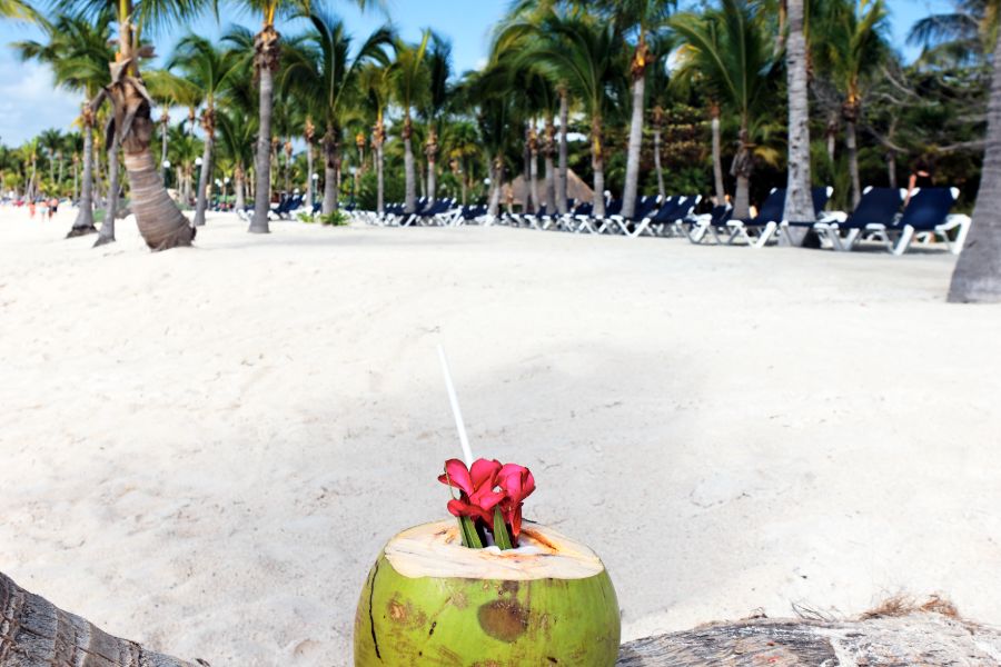 Punta Cana Zemi Miches Resort 5* Curio Collection by Hilton